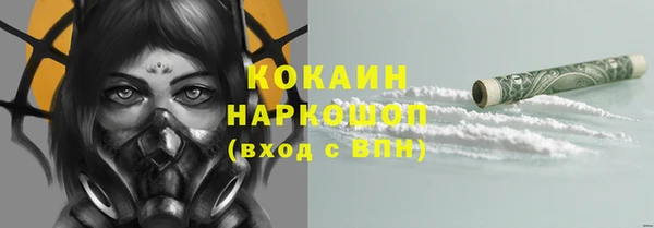 спиды Аркадак