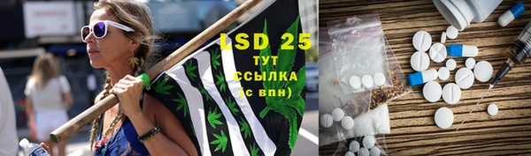 спиды Аркадак