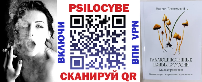 Псилоцибиновые грибы мицелий  хочу   Сальск 